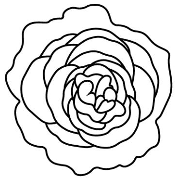 Okvětní plátky dní